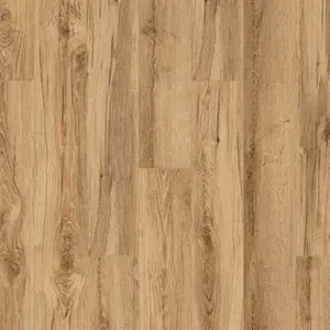 K419 Super Natural